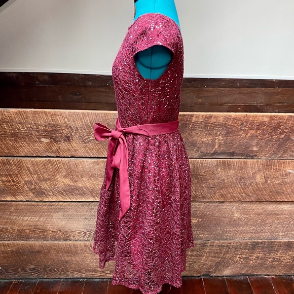 Suzy Chin Sequined Maroon Skater Party Dress - Picture 5 of 11